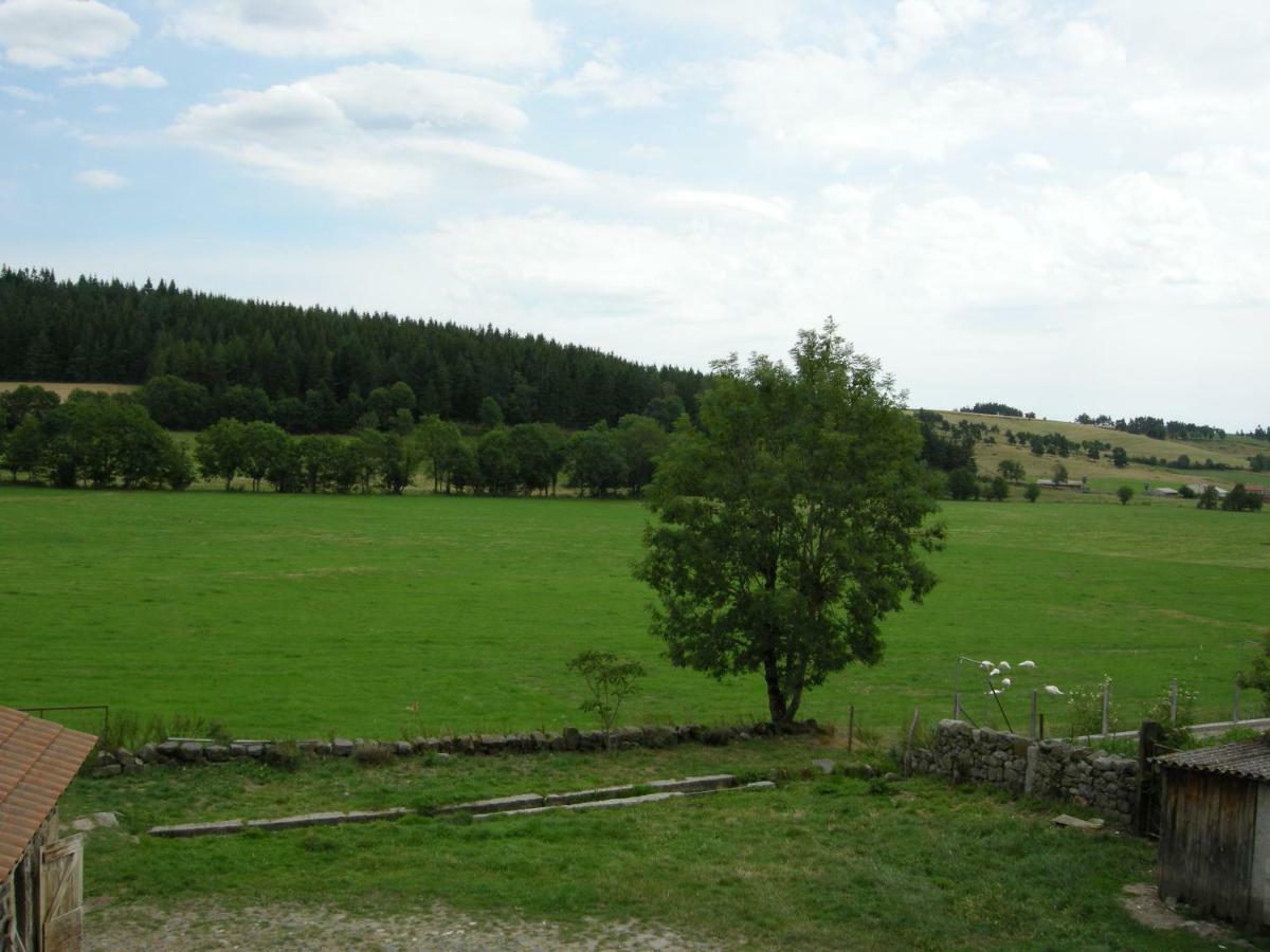 Gite A La Ferme Le Malzieu-Ville Exterior foto